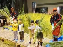 全球都市农业的5种模式解读：颠覆思维比颠覆技术更重要！