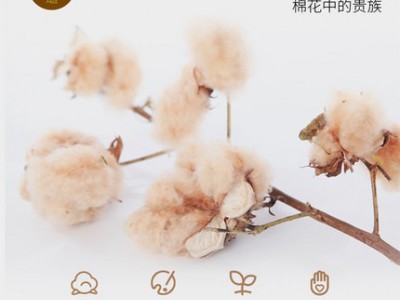 有机彩棉薄被图2