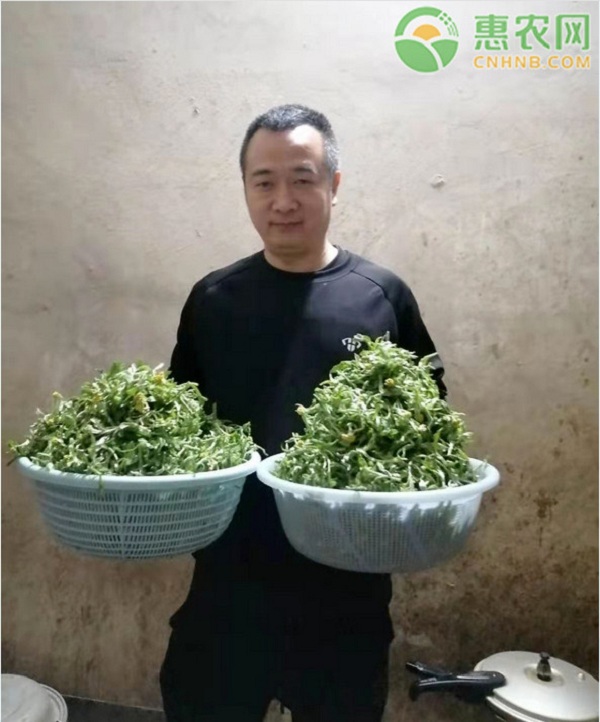 彭中跃：乡村振兴的先行者，用尽全力解决家乡电商困境
