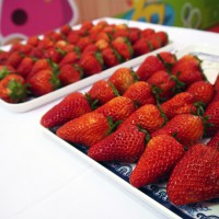 上海青浦白鹤草莓