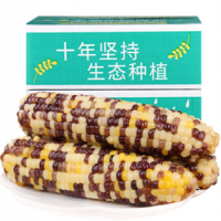 禾久有机彩色玉米真空10根