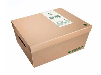 有机网纹瓜图3