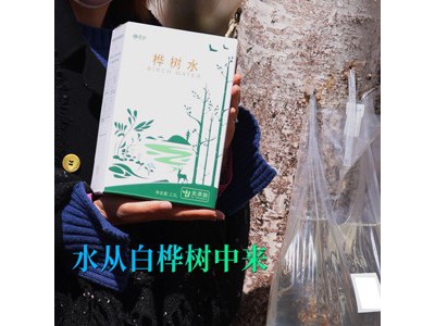 桦树水植物饮料2.5L图3