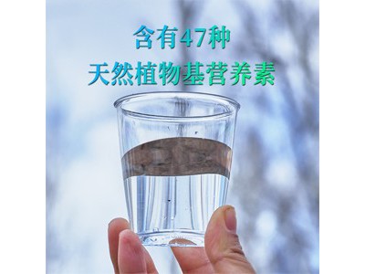 桦树水植物饮料2.5L图4