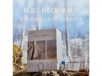 野生白桦树汁2.5L图2