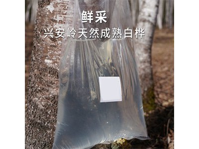 野生白桦树汁2.5L图3
