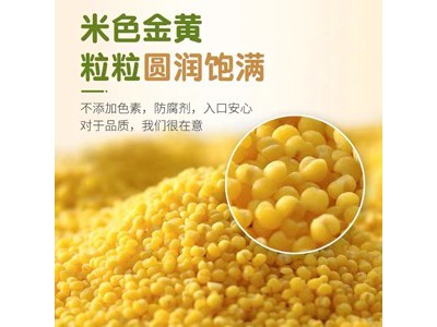 长白工坊 有机黄小米500g图2