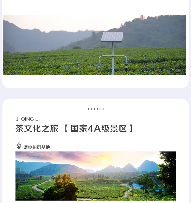 长页尾_10.jpg