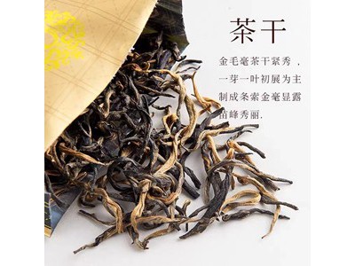 积庆里 英德有机红茶特级金毛毫高档礼盒120g图2