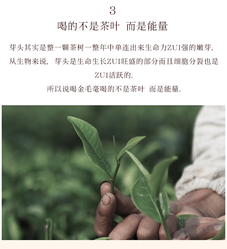 120克金毛豪详情_06.jpg