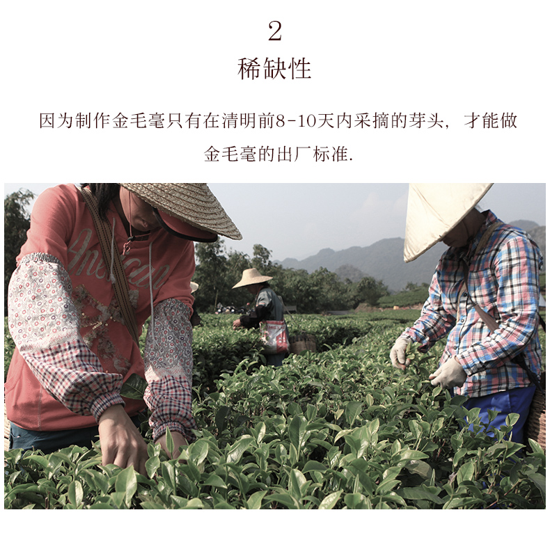 120克金毛豪详情_05.jpg
