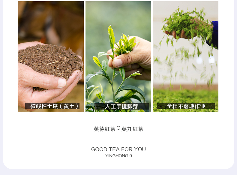 京东有机茶终极版_04.jpg
