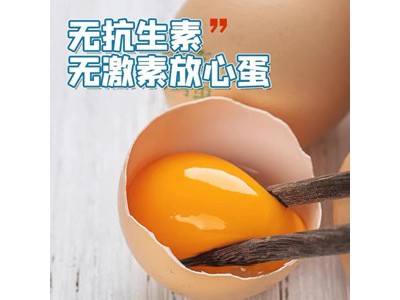 瑞疆源 有机鸡蛋30枚图2