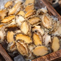 【大个去壳净肉】1斤装漂烫有机鲍鱼约22只