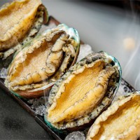 【带壳大鲍鱼】1斤装漂烫有机鲍鱼16-18只