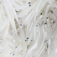 南都湖有机银鱼200g