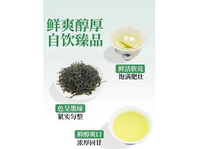 将军峰 有机绿茶新茶250g图2