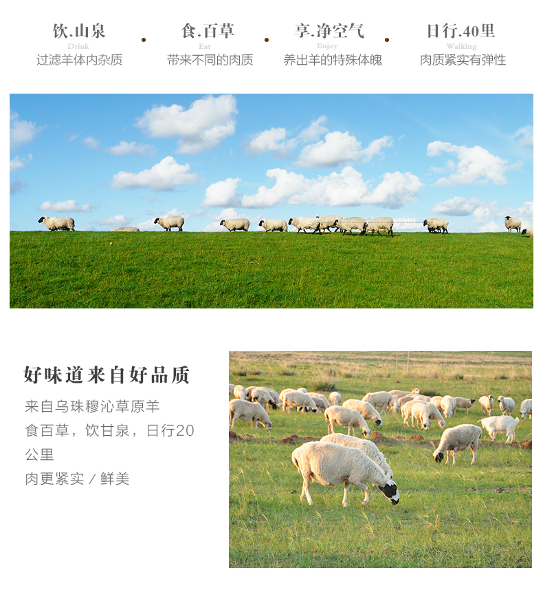 羊腿块_06.jpg