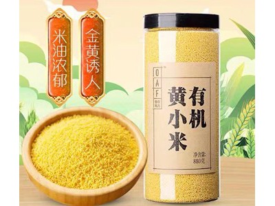 食在有方 东北黄小米新米880g图1