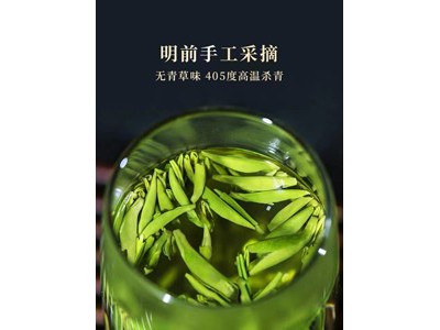 叙府 天府龙芽冠龙绿茶120g图3