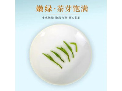 古丈毛尖 有机绿茶罐装125g图2