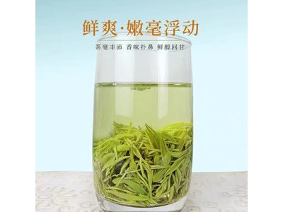 古丈毛尖 有机绿茶罐装125g图3