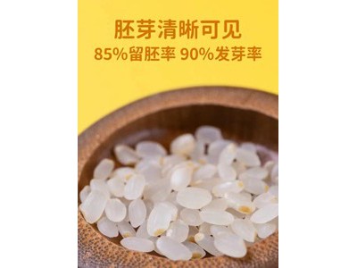 大食唠 有机胚芽米1kg图2