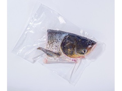 南都湖 有机大鱼头2.5斤图2