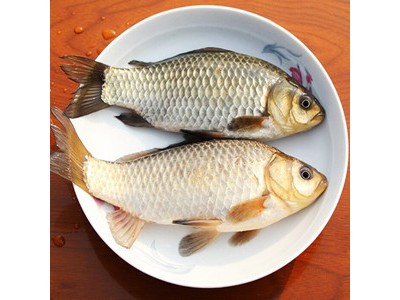 南都湖 有机鲫鱼图3