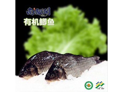 南都湖 有机鲫鱼图2