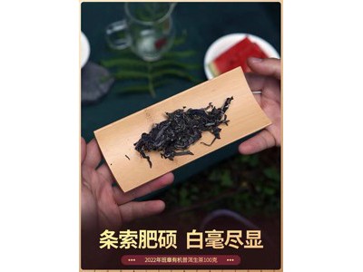 福海茶厂 有机普洱茶100g图3