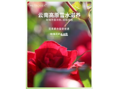 遇见玫好 墨红玫瑰花冠茶25g图3