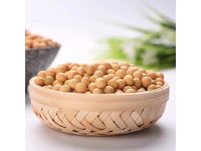 二马泡 有机黄豆400g图2