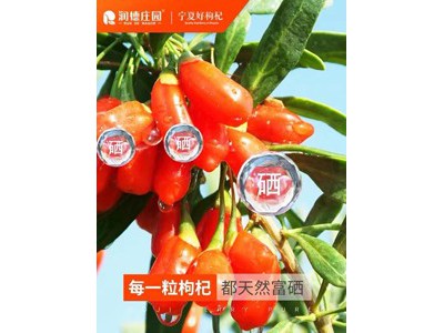 润德庄园 有机枸杞子原浆汁50ml图2