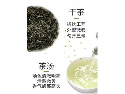 新安源 有机黄山毛峰绿茶礼盒100g图3