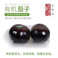 五蔬园 有机茄子