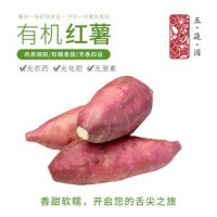 五蔬园 有机红薯