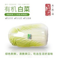 五蔬园 有机白菜
