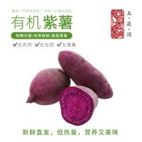 五蔬园 有机紫薯