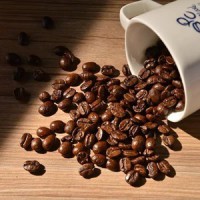 蓝珀庄园有机咖啡豆蓝山风味可现磨纯黑咖啡粉中烘焙227g