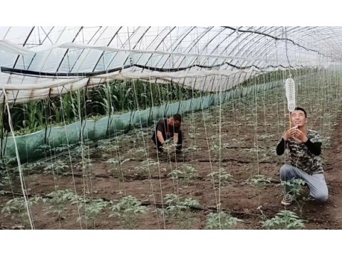 家庭农场主刘小军：希望越来越多的年轻人投身有机农业