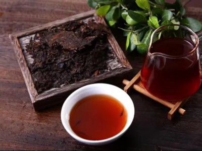 求购大量有机普洱图1