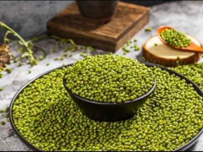 求购大量有机绿豆图1
