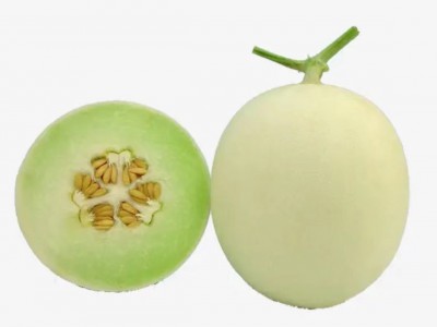 求购大量有机甜瓜图1