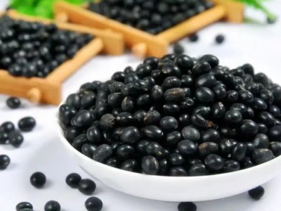 求购大量有机黑豆图1