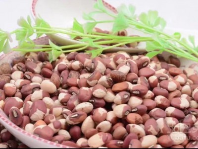 求购大量有机江豆图1