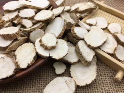 求购大量有机中药材白芷图1