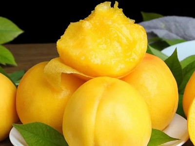 求购大量有机水果黄桃图1
