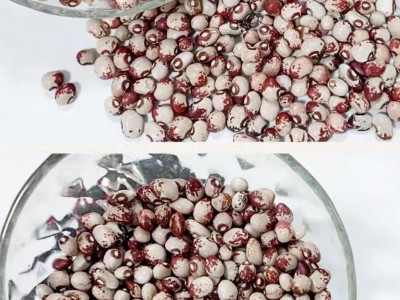 求购大量有机花豆图1