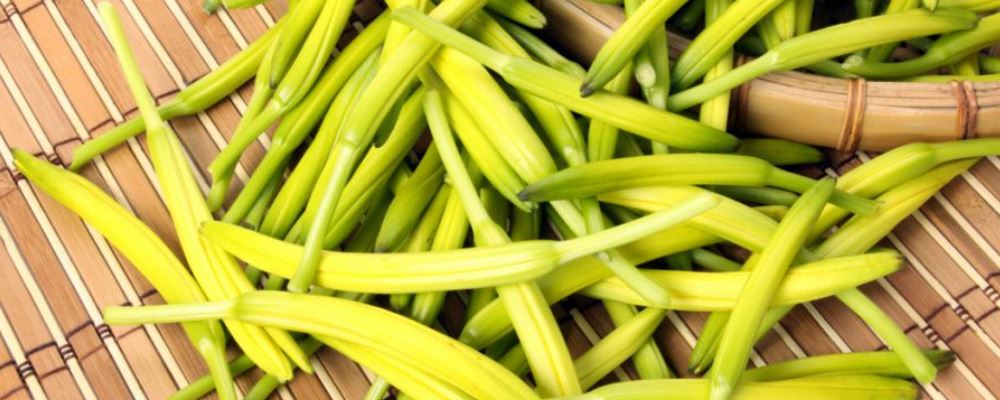 黄花菜怎么吃不会中毒 吃黄花菜中毒了怎么办 黄花菜中毒症状
